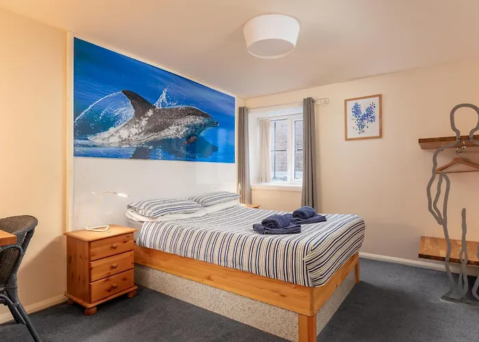 发现住宿旅馆 公寓式酒店